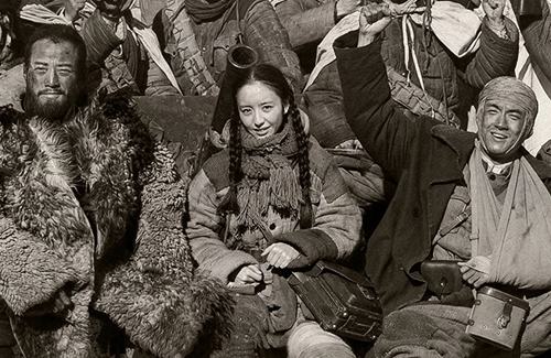 Tracks-in-the-Snowy-Forest-3D