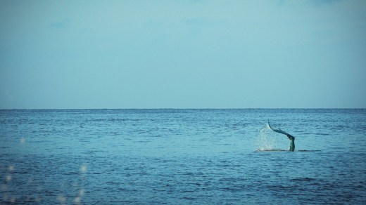 murmur-of-the-hearts-images-f055cb12-d14b-490f-b9e3-17208392997