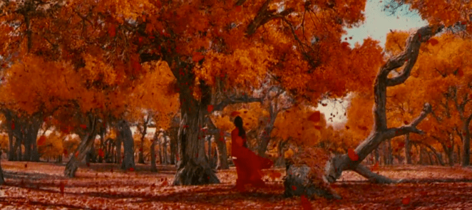 12b40db5630646c651a984b08c68b934