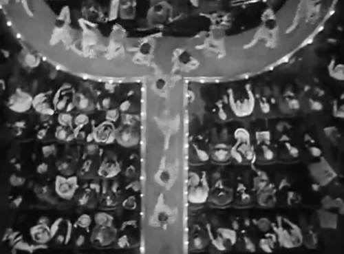 tumblr_mjbyo7cLVy1qzsuffo1_500