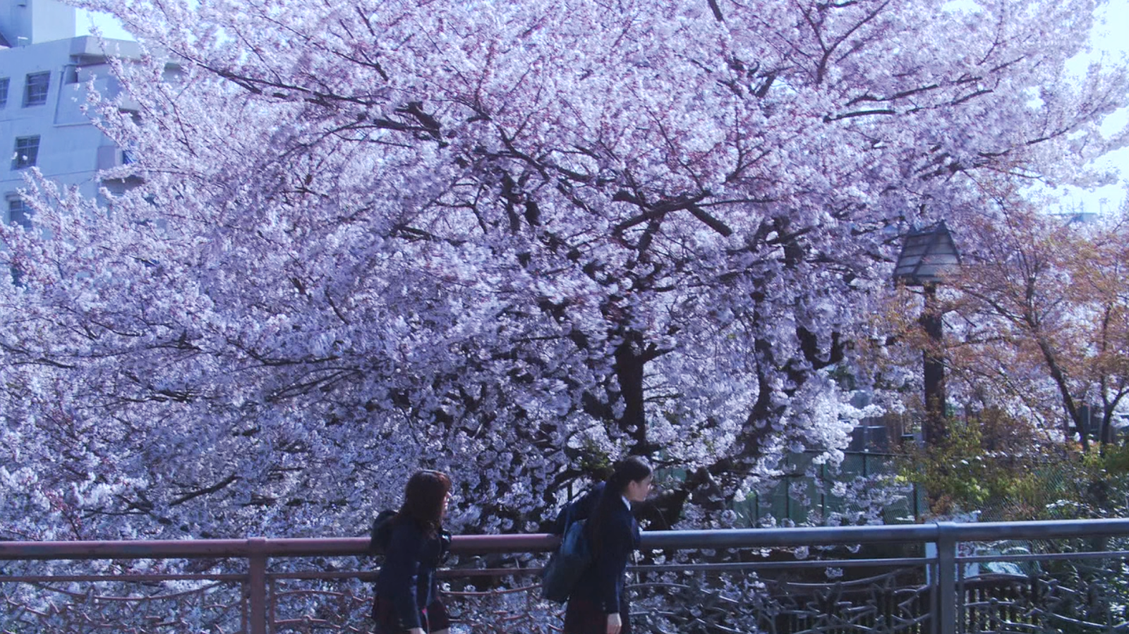 Screen Shot 2015-06-01 at 19.39.54